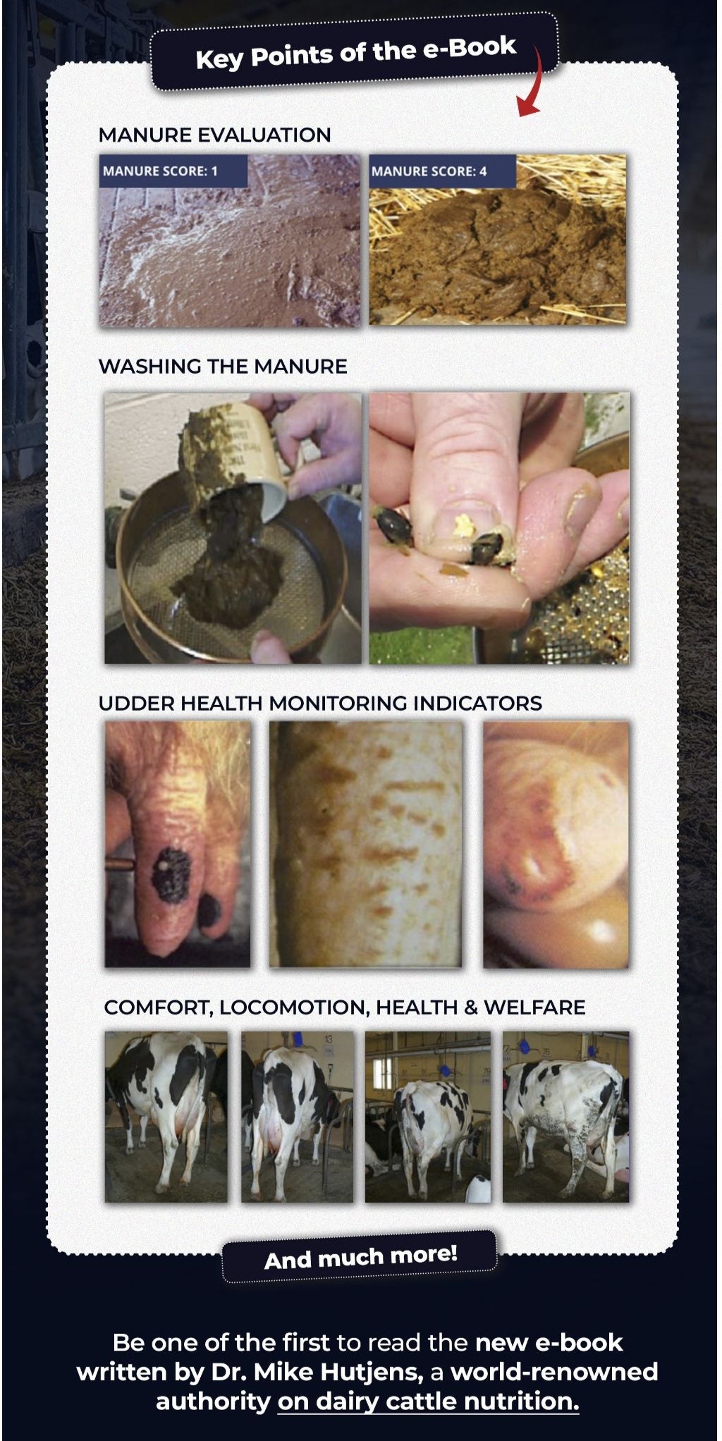 Dairy Consultant's Playbook by Dr. Mike Hutjens - 1st Edition - Ebook